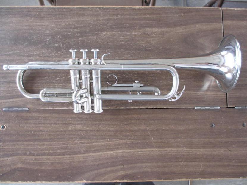 金色に輝く楽器で演奏したい!