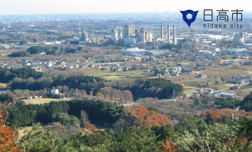 埼玉県日高市 自治体 楽器寄附ふるさと納税