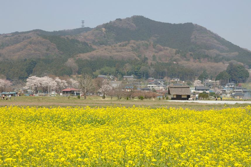 【埼玉県日高市】日和田山.png